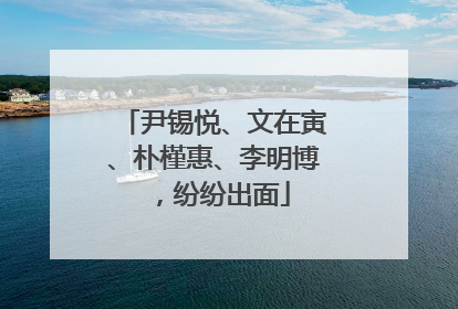 尹锡悦、文在寅、朴槿惠、李明博，纷纷出面