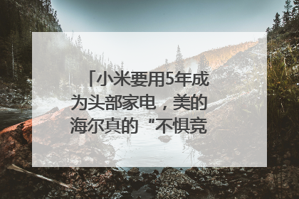 小米要用5年成为头部家电，美的海尔真的“不惧竞争”？｜热财经