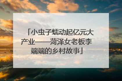 小虫子蠕动起亿元大产业——菏泽女老板李端端的乡村故事