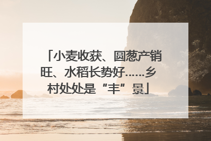小麦收获、圆葱产销旺、水稻长势好……乡村处处是“丰”景