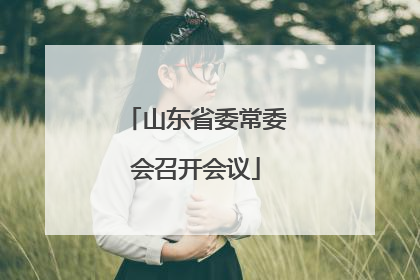 山东省委常委会召开会议