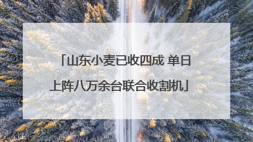 山东小麦已收四成 单日上阵八万余台联合收割机