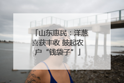 山东惠民：洋葱喜获丰收 鼓起农户“钱袋子”