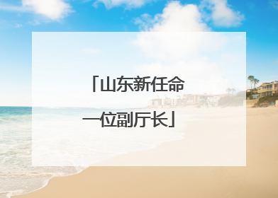 山东新任命一位副厅长