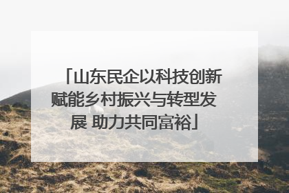 山东民企以科技创新赋能乡村振兴与转型发展 助力共同富裕