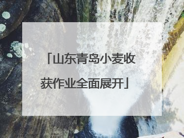 山东青岛小麦收获作业全面展开