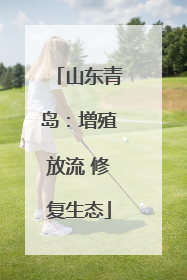 山东青岛：增殖放流 修复生态