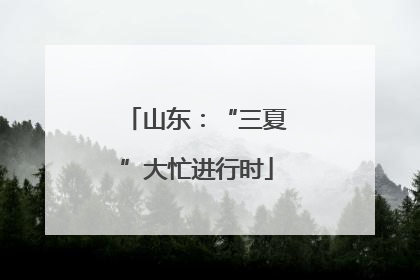 山东：“三夏”大忙进行时