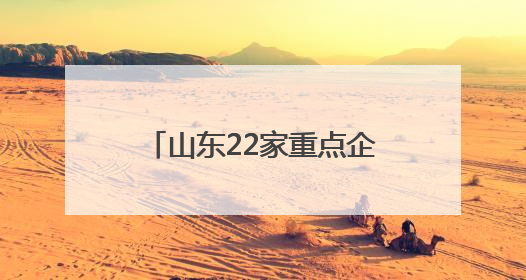 山东22家重点企业亮相第九届丝绸之路国际博览会
