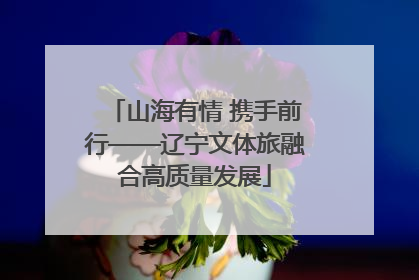 山海有情 携手前行——辽宁文体旅融合高质量发展