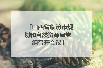 山西省临汾市规划和自然资源局党组召开会议