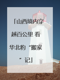 山西境内穿越百公里 看华北豹“搬家”记