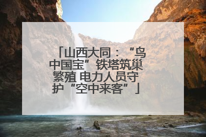 山西大同：“鸟中国宝”铁塔筑巢繁殖 电力人员守护“空中来客”