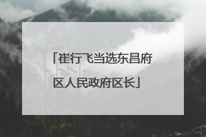 崔行飞当选东昌府区人民政府区长