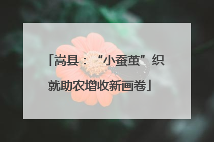 嵩县：“小蚕茧”织就助农增收新画卷
