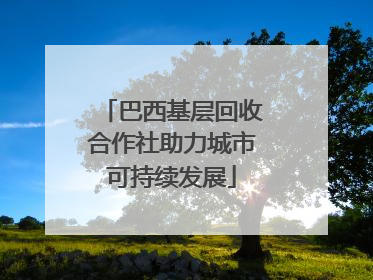 巴西基层回收合作社助力城市可持续发展