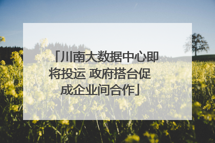 川南大数据中心即将投运 政府搭台促成企业间合作