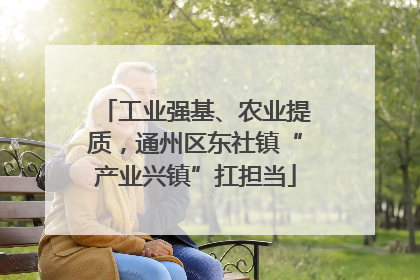 工业强基、农业提质，通州区东社镇“产业兴镇”扛担当
