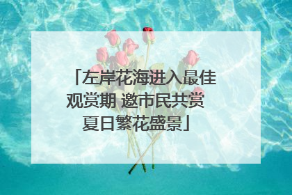 左岸花海进入最佳观赏期 邀市民共赏夏日繁花盛景