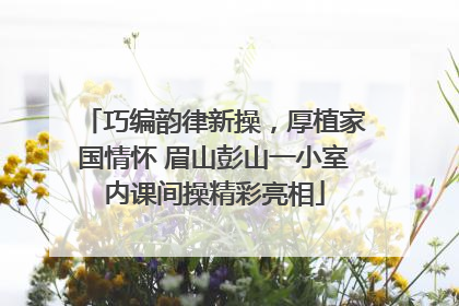 巧编韵律新操，厚植家国情怀 眉山彭山一小室内课间操精彩亮相