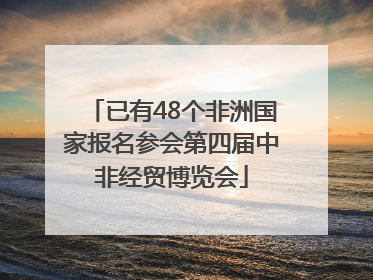 已有48个非洲国家报名参会第四届中非经贸博览会