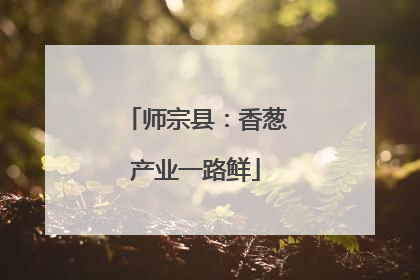 师宗县：香葱产业一路鲜