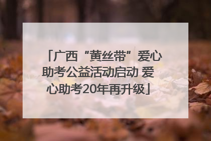 广西“黄丝带”爱心助考公益活动启动 爱心助考20年再升级