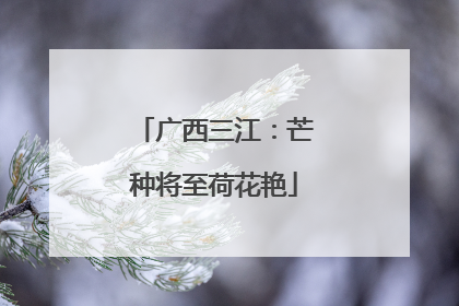 广西三江：芒种将至荷花艳