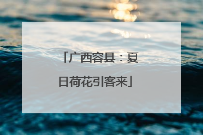 广西容县:夏日荷花引客来