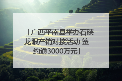 广西平南县举办石硖龙眼产销对接活动 签约逾3000万元