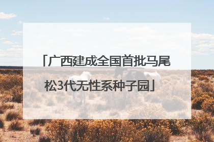 广西建成全国首批马尾松3代无性系种子园