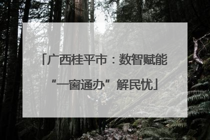 广西桂平市：数智赋能“一窗通办”解民忧