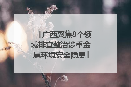 广西聚焦8个领域排查整治涉重金属环境安全隐患