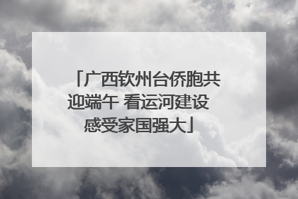 广西钦州台侨胞共迎端午 看运河建设感受家国强大
