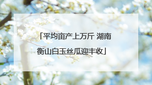 平均亩产上万斤 湖南衡山白玉丝瓜迎丰收