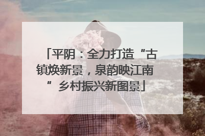 平阴：全力打造“古镇焕新景，泉韵映江南”乡村振兴新图景
