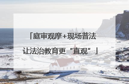 庭审观摩+现场普法 让法治教育更“直观”