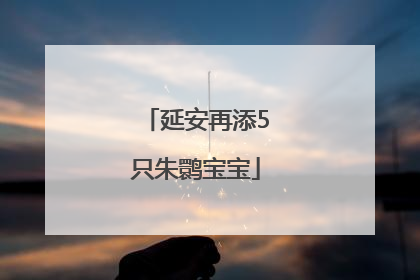 延安再添5只朱鹮宝宝