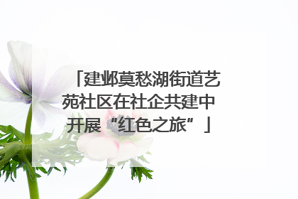 建邺莫愁湖街道艺苑社区在社企共建中开展“红色之旅”