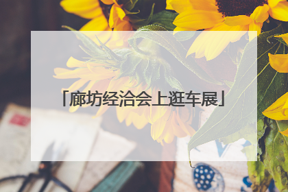 廊坊经洽会上逛车展