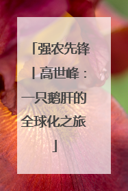 强农先锋丨高世峰：一只鹅肝的全球化之旅
