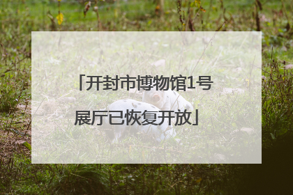 开封市博物馆1号展厅已恢复开放