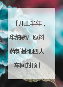 开工半年，华纳药厂原料药新基地四大车间封顶