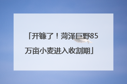 开镰了！菏泽巨野85万亩小麦进入收割期