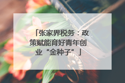 张家界税务：政策赋能育好青年创业“金种子”