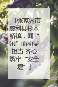 张家界市慈利县杉木桥镇：闻“汛”而动显担当 齐心筑牢“安全堤”