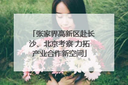 张家界高新区赴长沙、北京考察 力拓产业合作新空间