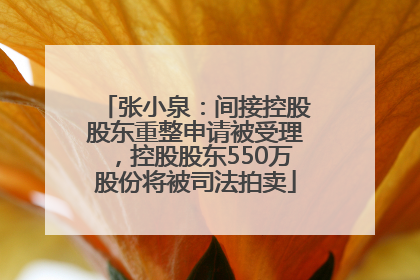 张小泉：间接控股股东重整申请被受理，控股股东550万股份将被司法拍卖
