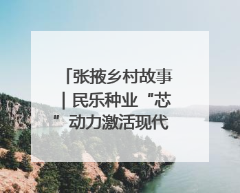 张掖乡村故事｜民乐种业“芯”动力激活现代农业新活力
