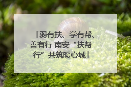 弱有扶、学有帮、善有行 南安“扶帮行”共筑暖心城